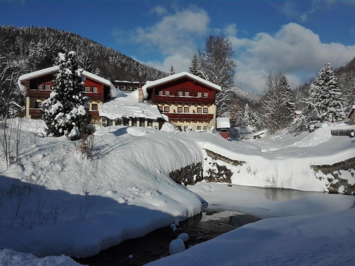 Rodinny "Hotel U Mustku" Desná Exterior foto